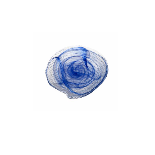 Clamocs (ArdaCam)