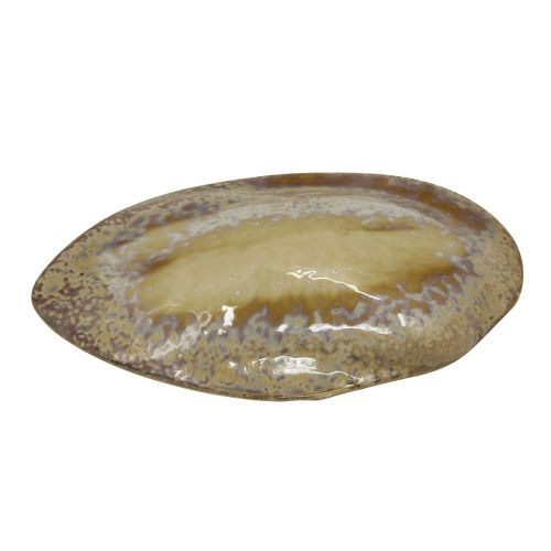 Блюдо Frutti di Mare 330 мм, керамика, P.L. Proff Cuisine QB23085001