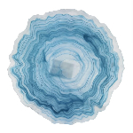 Тарелка d 210 мм h 20 мм Blue Sunset матовое стекло P.L. Proff Cuisine [6] 1Q2357-6106SX