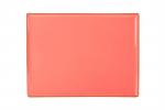 Блюдо прямоугольное 18X13 CM Porland 358819 ORANGE