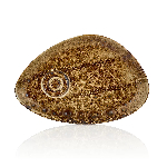 Блюдце Cowry Yellow 250х170мм By Bone CW-YL-ZT-01-STB