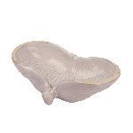Салатник Gray Shell Frutti di Mare 120 мл 190х120 мм h55 мм P.L. Proff Cuisine B23164013-J