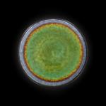 Тарелка мелкая Corone Verde d=265 мм синий+зеленый фарфор