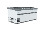 Бонета морозильная FROSTOR F 2100 ВЕ с гнутым стеклом (R404A)