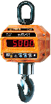 Крановые весы CAS 2THD TWN