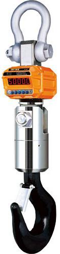 Крановые весы CAS 15THD TW-100